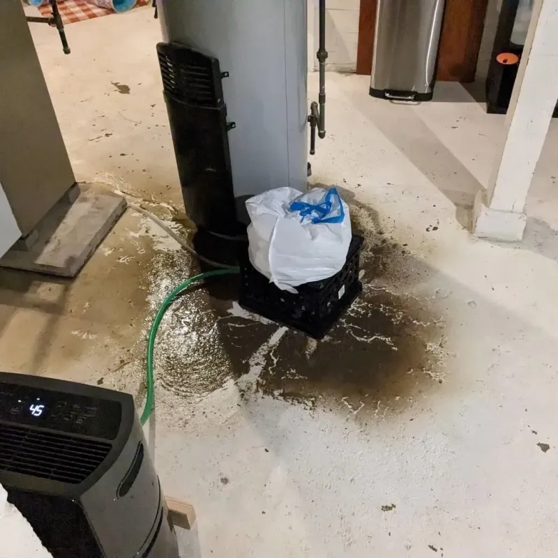 Sewage Backup Cleanup Service in Live Oak, CA